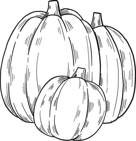 Coloring book two large and one small pumpkin for Halloween
